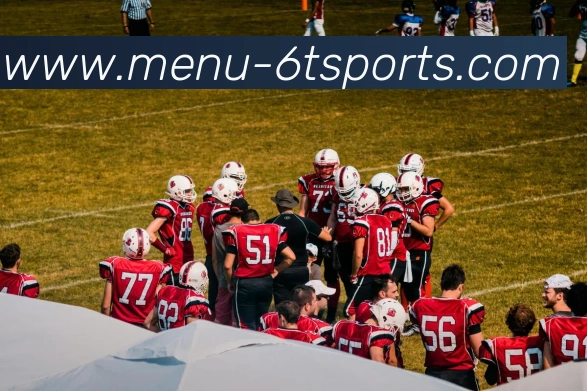 6T体育平台生态图