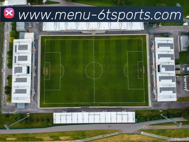 6T体育APP 封面图